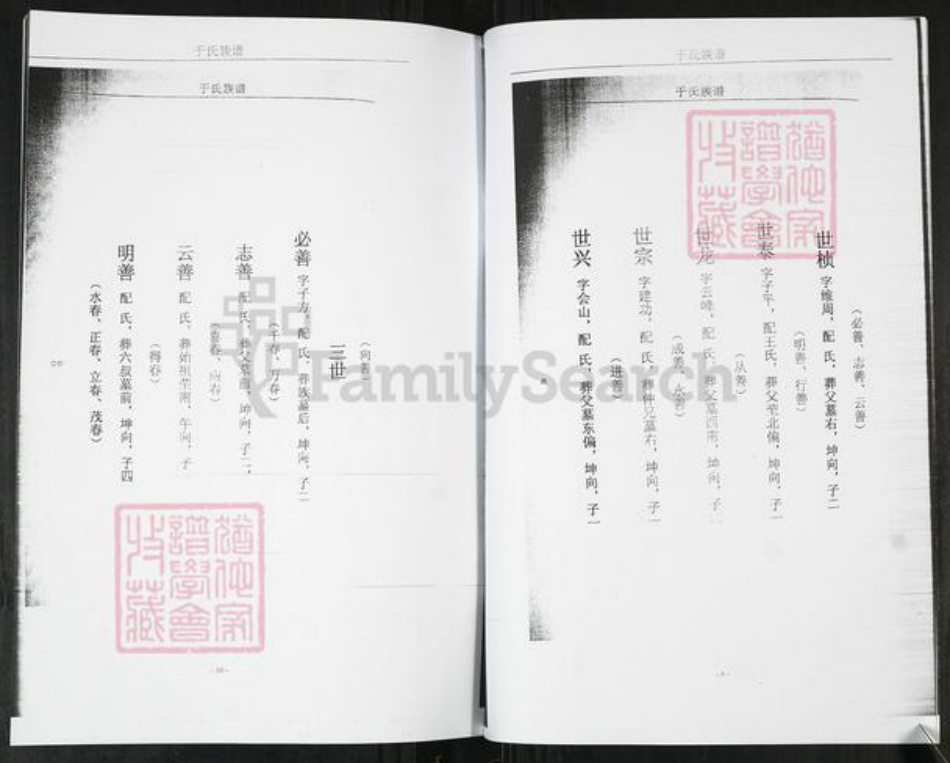 山东省青岛市即墨区于氏族谱-于氏族谱[不分卷].pdf电子版插图5