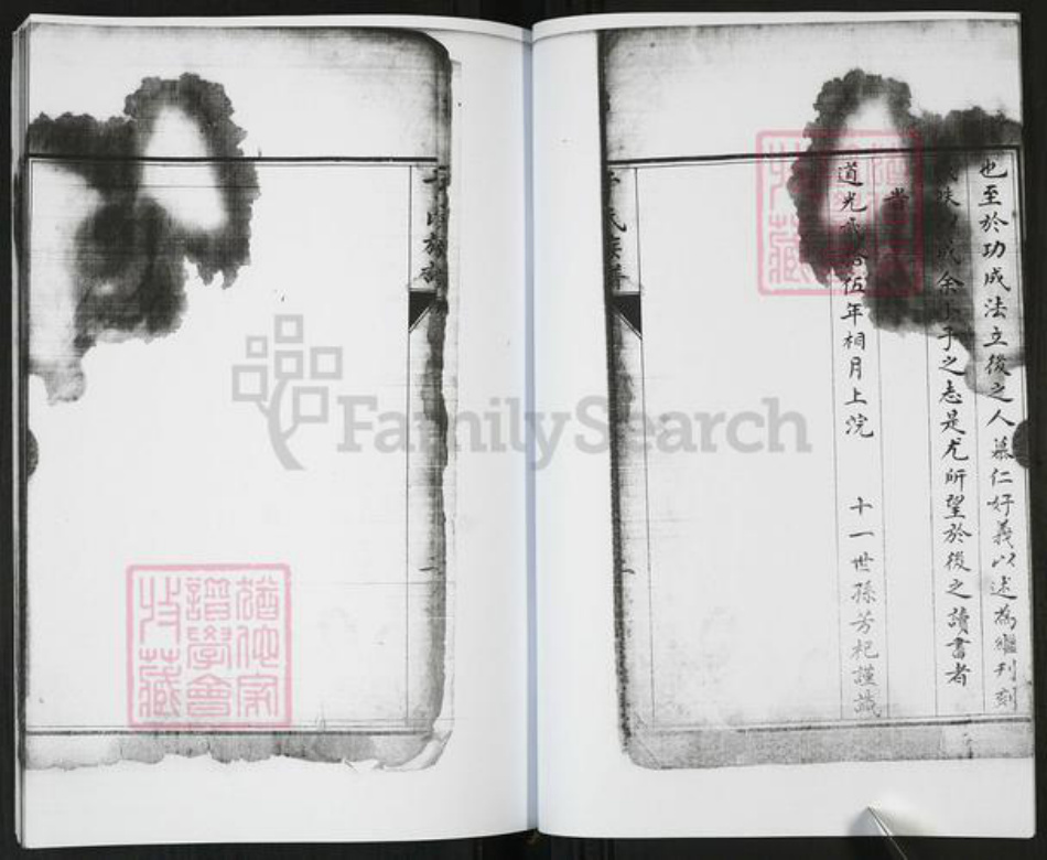 山东省青岛市即墨区于氏族谱-于氏族谱[不分卷].pdf电子版插图4