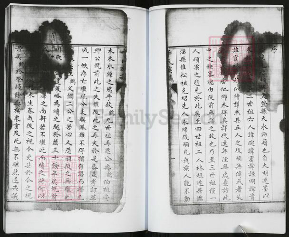 山东省青岛市即墨区于氏族谱-于氏族谱[不分卷].pdf电子版插图5