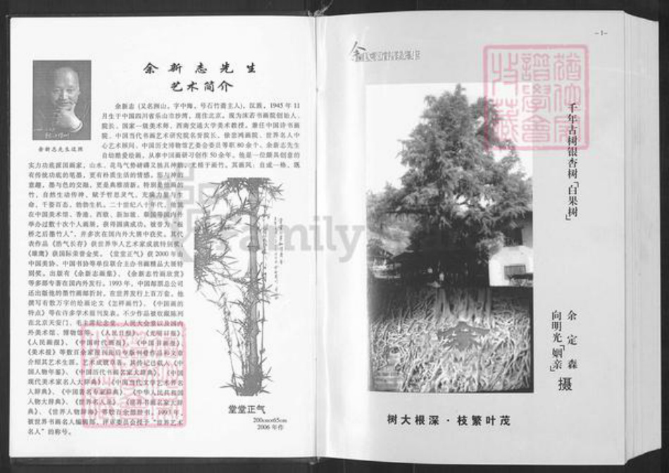 重庆市万州余氏族谱-余氏新谱续集.pdf电子版插图3 重庆市万州余氏族谱-余氏新谱续集.pdf电子版插图3