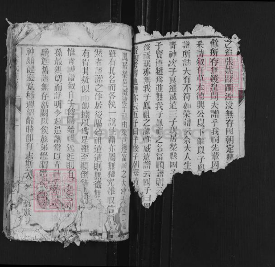 四川省泸州市龙马潭区鱼塘街道余氏族谱-余氏族谱.pdf电子版插图2 四川省泸州市龙马潭区鱼塘街道余氏族谱-余氏族谱.pdf电子版插图2