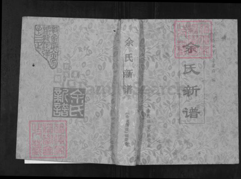 重庆市万州余氏族谱-余氏新谱.pdf电子版