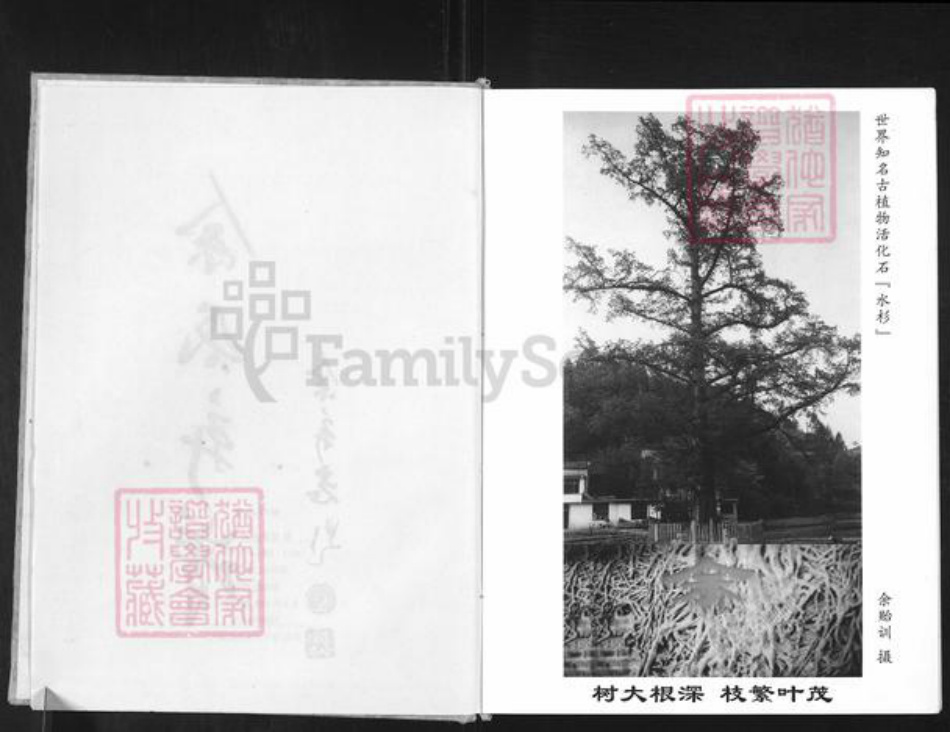 重庆市万州余氏族谱-余氏新谱.pdf电子版插图3 重庆市万州余氏族谱-余氏新谱.pdf电子版插图3