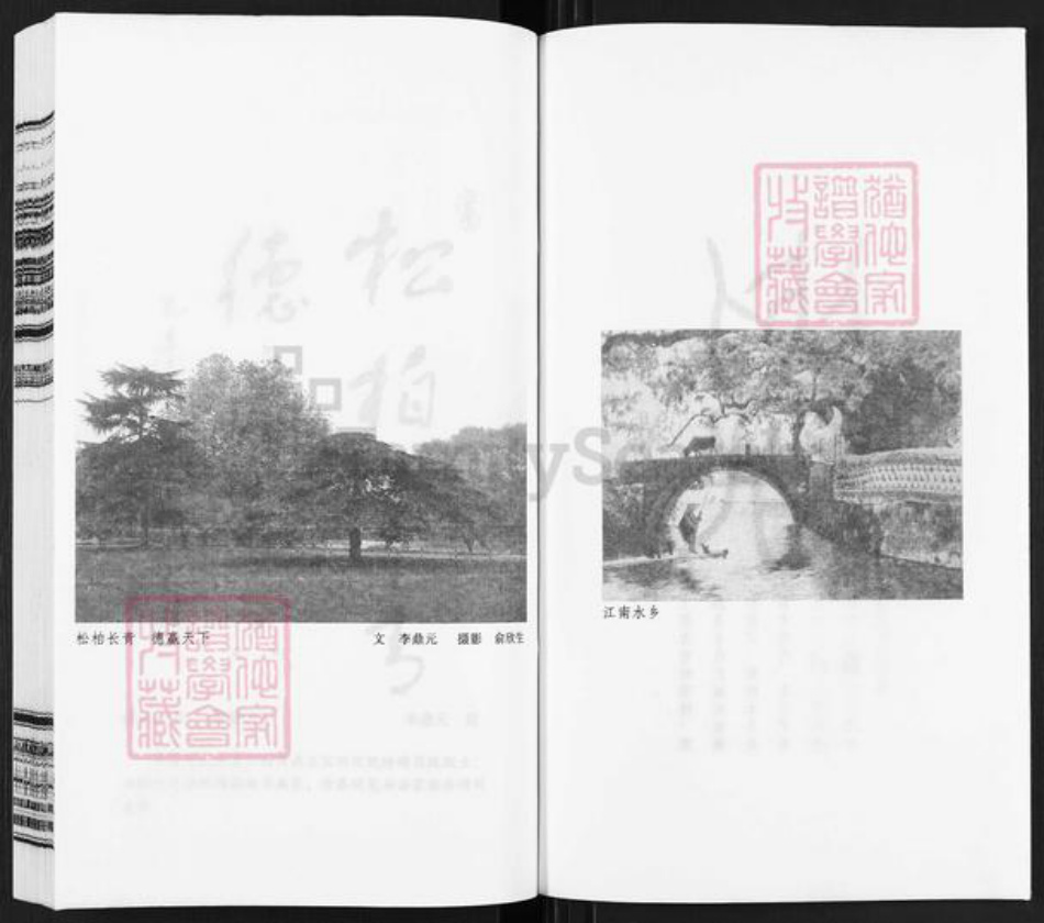 江苏省常州市武进县俞氏敦睦堂族谱-俞氏宗谱.pdf电子版插图2 江苏省常州市武进县俞氏敦睦堂族谱-俞氏宗谱.pdf电子版插图2
