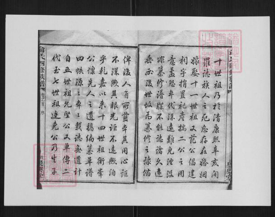 湖南省长沙市俞氏族谱-俞氏四修族谱 [17卷].pdf电子版插图5