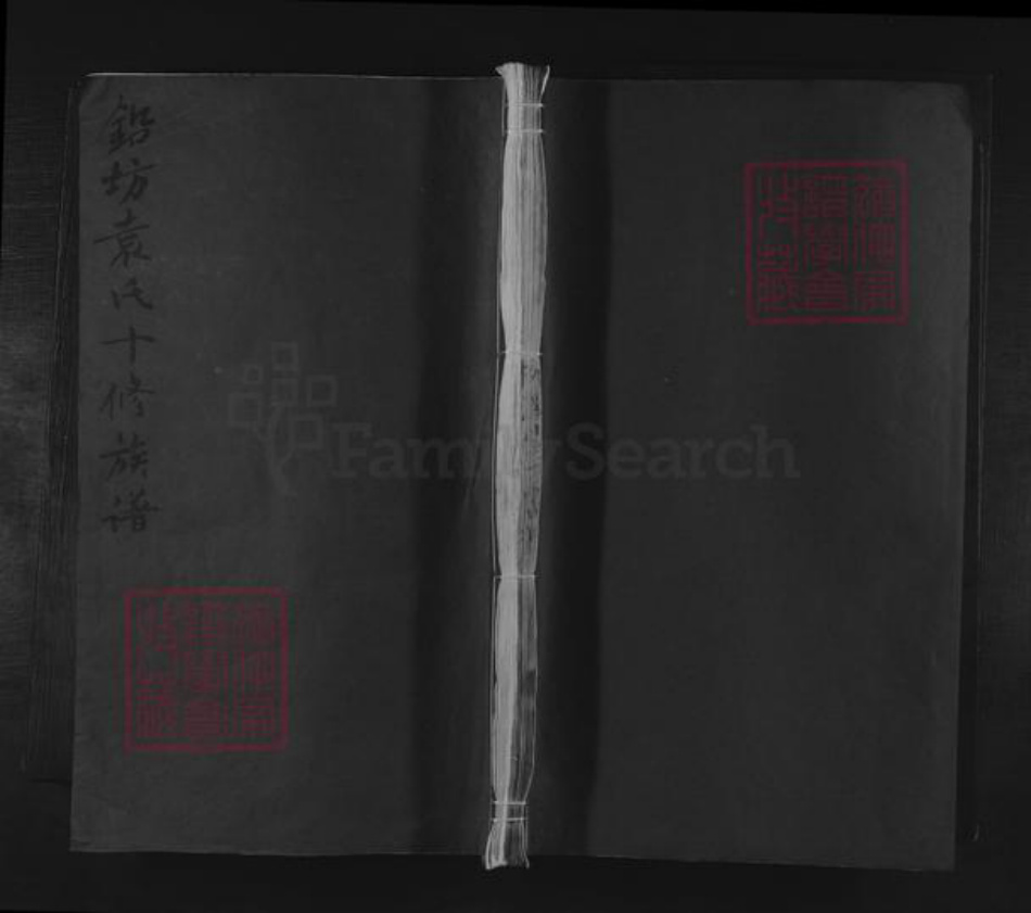 江西省吉安市袁氏族谱-铅坊袁氏十修族谱 [不分卷].pdf电子版插图