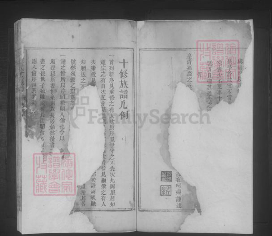 江西省吉安市袁氏族谱-铅坊袁氏十修族谱 [不分卷].pdf电子版插图3