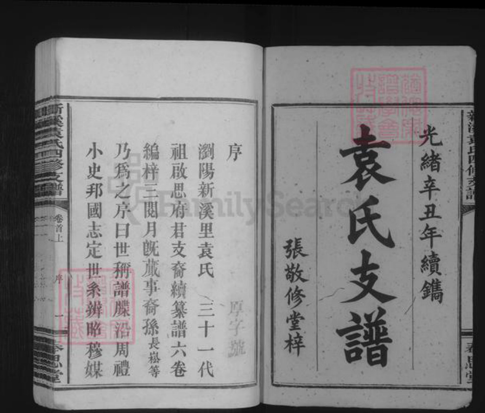 湖南省长沙市浏阳市袁氏族谱-新溪袁氏四修支谱 [4卷,首2卷].pdf电子版插图1