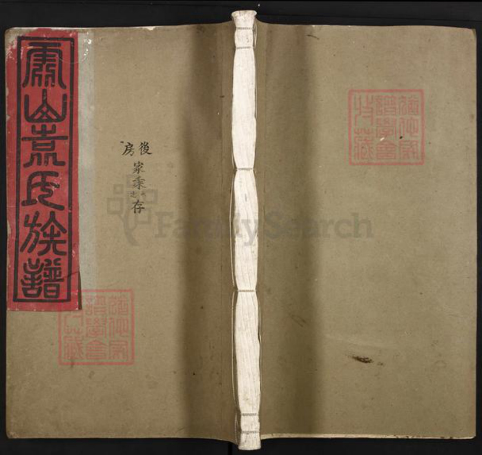 江西省吉安市吉州区袁氏族谱-霞山袁氏族谱.pdf电子版