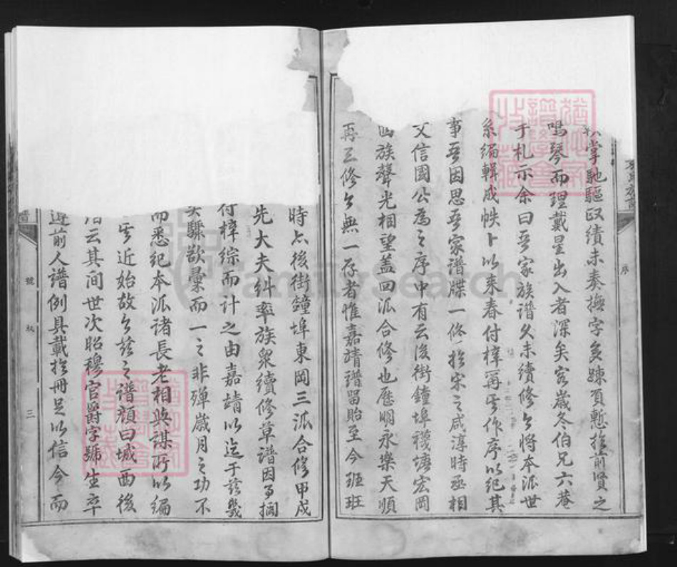 江西省吉安市泰和市袁氏族谱-泰和城西后街袁氏族谱.pdf电子版插图5 江西省吉安市泰和市袁氏族谱-泰和城西后街袁氏族谱.pdf电子版插图5