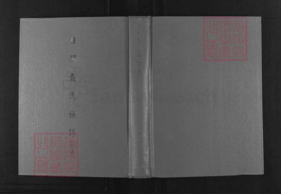山东省日照市东港区袁氏族谱-日照袁氏族谱(叙安).pdf电子版