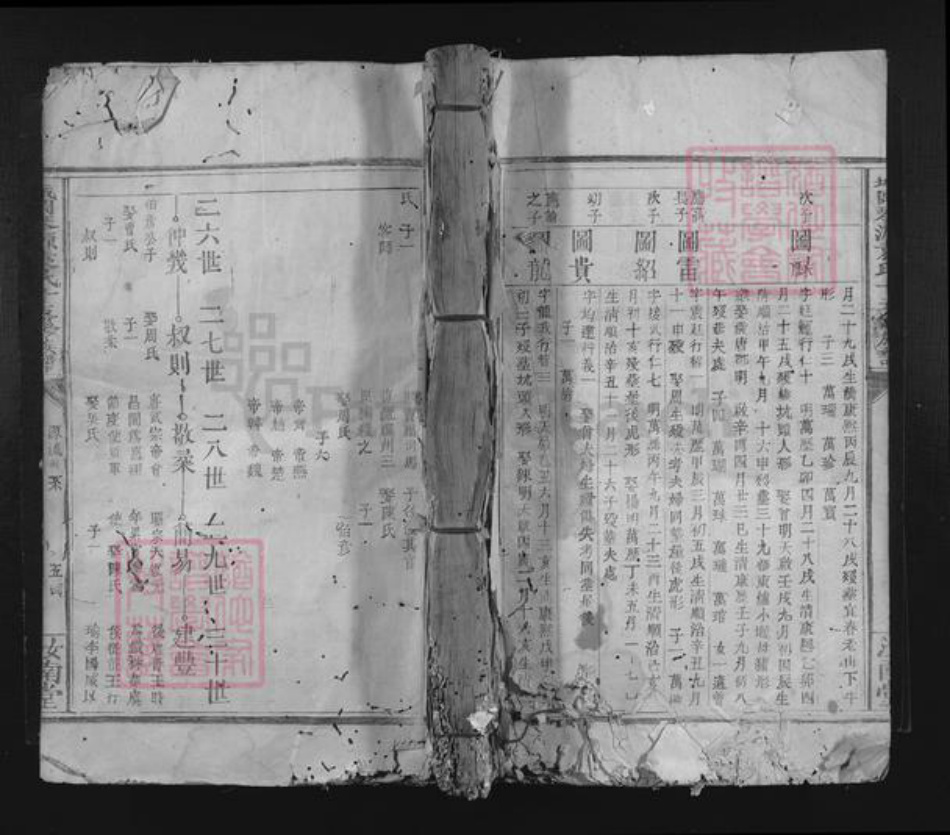 江西省赣州市兴国县城岗乡袁氏汝南堂族谱-城冈琴源袁氏十五修族谱.pdf电子版