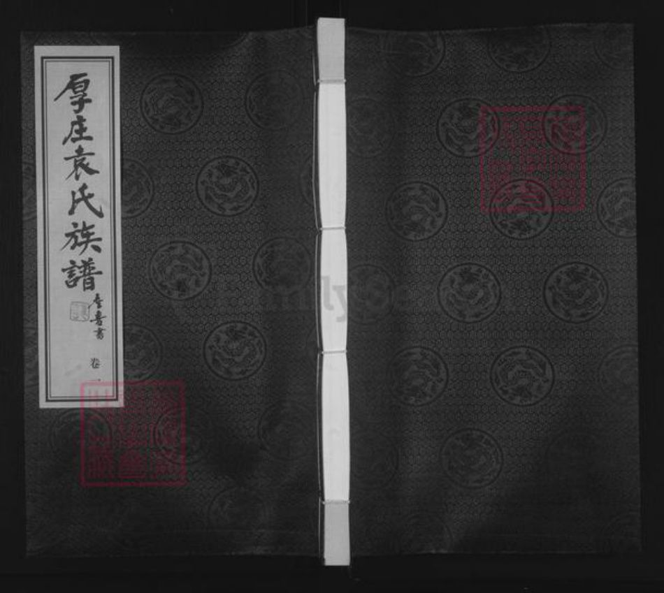 江苏省常州市金坛区儒林镇袁氏承启堂族谱-厚庄袁氏族谱.pdf电子版