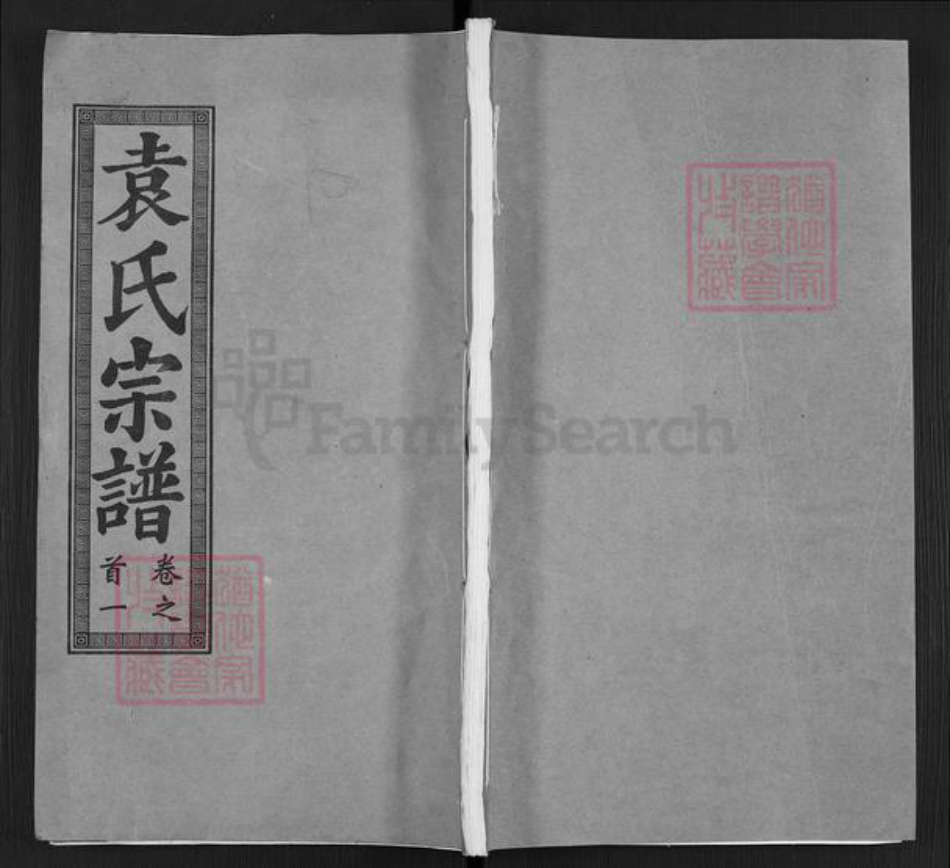 湖北省武汉市洪山区袁氏卧雪堂族谱-袁氏宗谱.pdf电子版