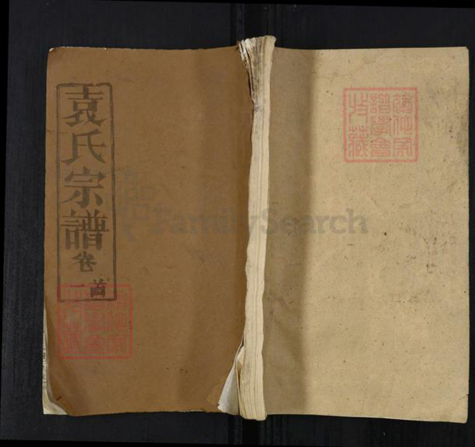 湖北省武汉市新洲区袁氏卧雪堂族谱-袁氏宗谱.pdf电子版