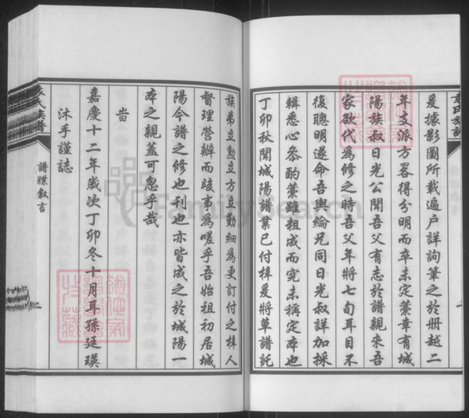 山东省青岛市崂山区袁氏思远堂族谱-袁氏族谱.pdf电子版插图5