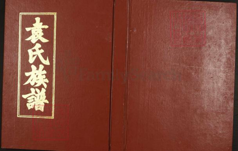江西省袁氏汝南堂族谱-袁氏合修族谱.pdf电子版