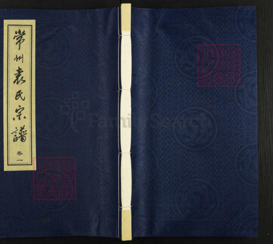 江苏省常州市武进县遥观镇袁氏追远堂族谱-常州袁氏宗谱.pdf电子版