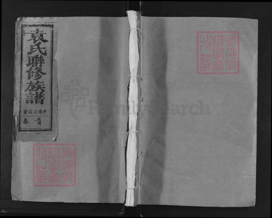 江西省赣州市瑞金市武阳镇袁氏汝南堂族谱-瑞雩寕会兴袁氏联修族谱.pdf电子版