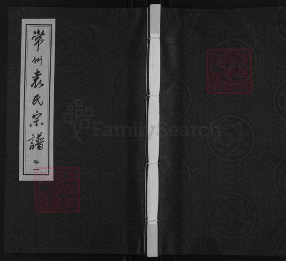 江苏省常州市武进县遥观镇袁氏追远堂族谱-常州袁氏宗谱.pdf电子版