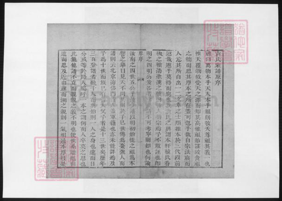 山东省淄博市淄川区袁氏族谱-淄川县袁氏家谱.pdf电子版插图3 山东省淄博市淄川区袁氏族谱-淄川县袁氏家谱.pdf电子版插图3