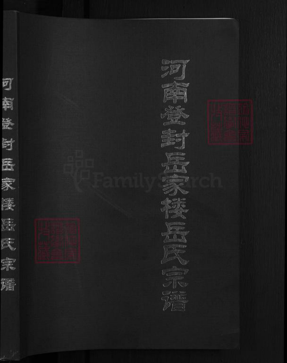 河南省郑州市登封市岳氏族谱-河南登封岳家楼岳氏宗谱.pdf电子版插图1 河南省郑州市登封市岳氏族谱-河南登封岳家楼岳氏宗谱.pdf电子版插图1