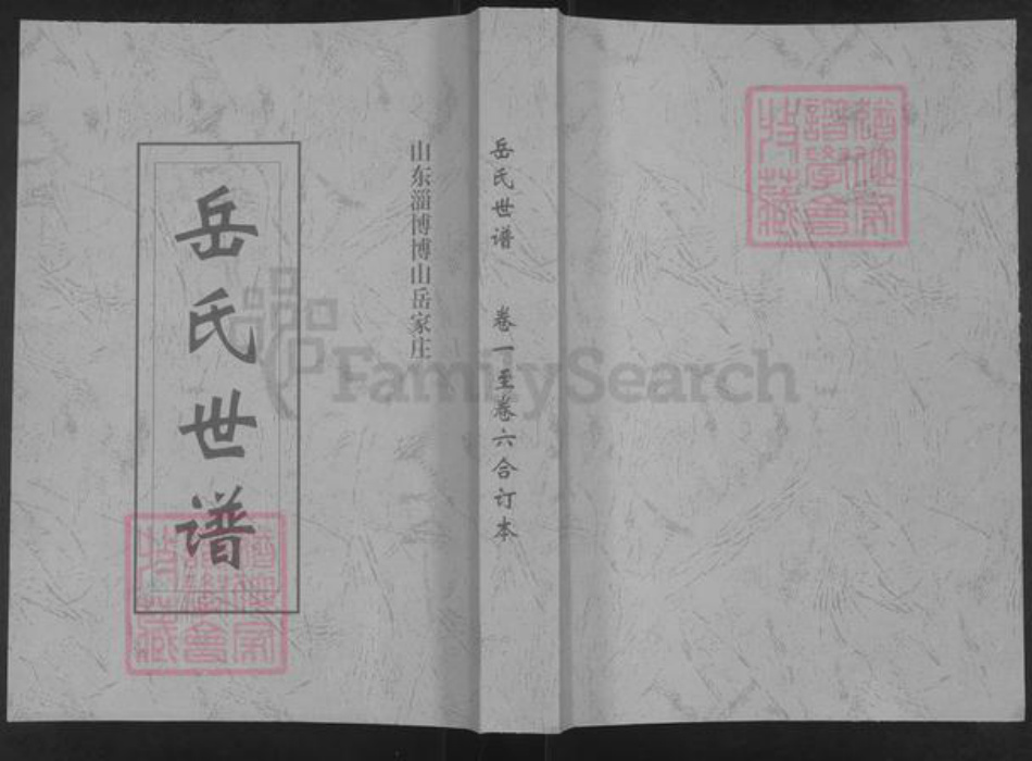 山东省泰安市新泰市岳氏族谱-岳氏世谱.pdf电子版插图 山东省泰安市新泰市岳氏族谱-岳氏世谱.pdf电子版插图
