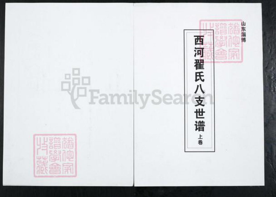 山东省淄博市博山区翟氏族谱-西河翟氏八支世谱.pdf电子版