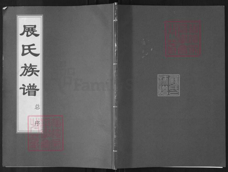山东省济南市平阴县孝直镇展氏族谱-展氏族谱.pdf电子版插图 山东省济南市平阴县孝直镇展氏族谱-展氏族谱.pdf电子版插图