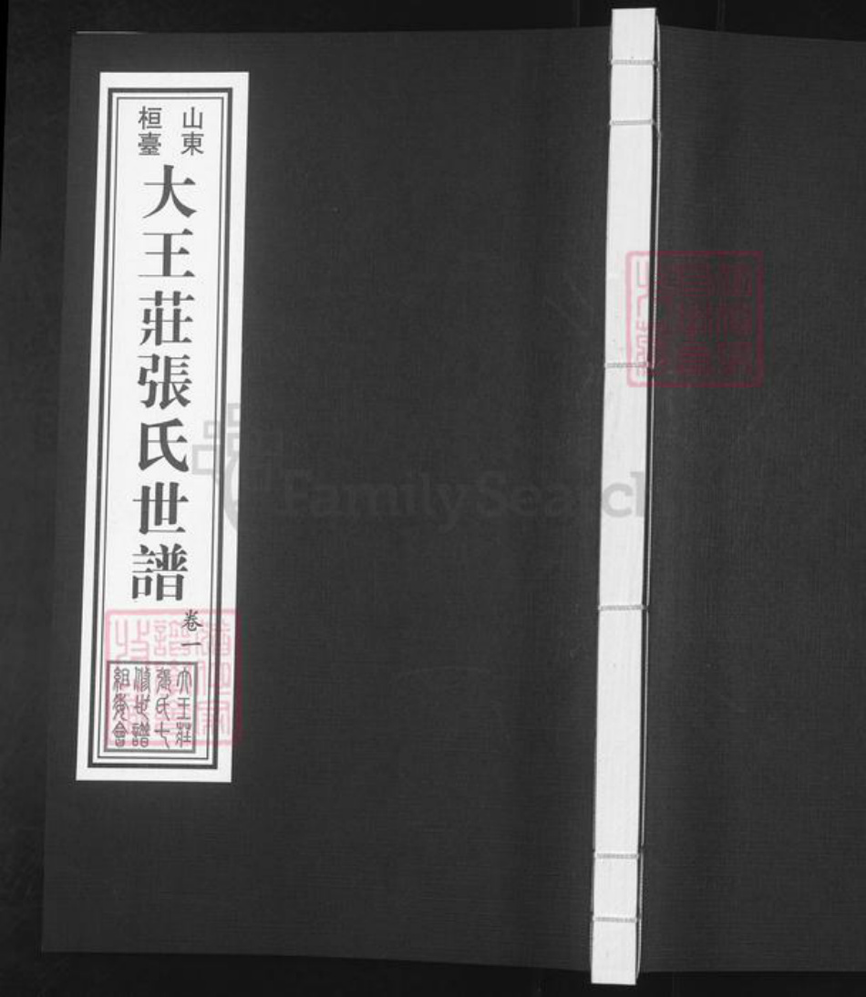 山东省淄博市桓台县新城镇张氏族谱-山东桓台大王庄张氏世谱.pdf电子版插图 山东省淄博市桓台县新城镇张氏族谱-山东桓台大王庄张氏世谱.pdf电子版插图