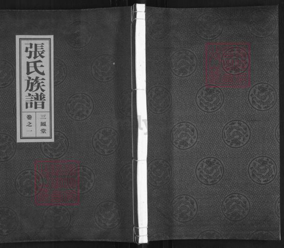 江苏省泰州市泰兴市张氏三凤堂族谱-张氏族谱.pdf电子版插图