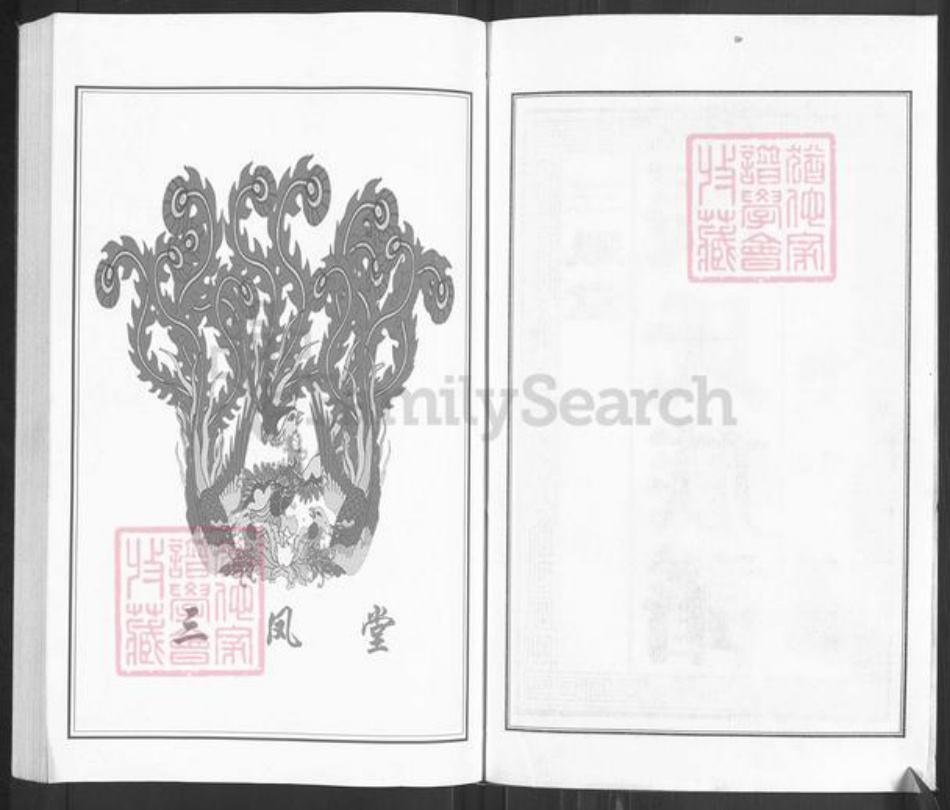江苏省泰州市泰兴市张氏三凤堂族谱-张氏族谱.pdf电子版插图2