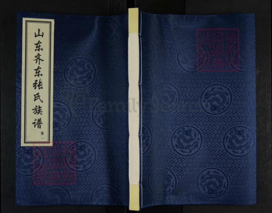 山东省滨州市邹平市台子镇张氏族谱-山东齐东张氏族谱.pdf电子版