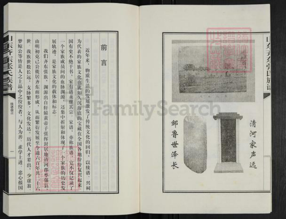 山东省滨州市邹平市台子镇张氏族谱-山东齐东张氏族谱.pdf电子版插图3 山东省滨州市邹平市台子镇张氏族谱-山东齐东张氏族谱.pdf电子版插图3