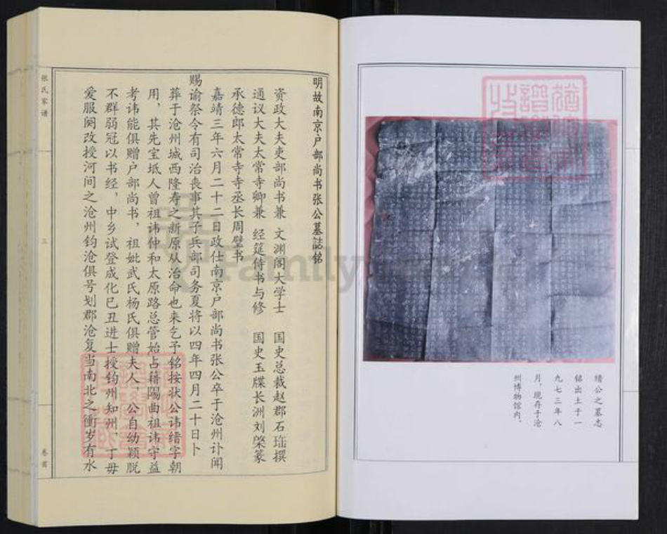 河北省沧州张氏族谱-张氏家谱.pdf电子版插图2 河北省沧州张氏族谱-张氏家谱.pdf电子版插图2