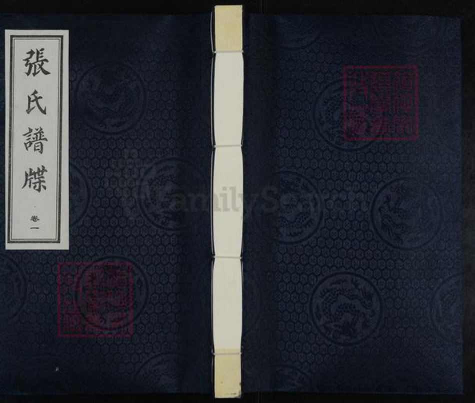 河北省沧州黄骅市常郭镇张氏族谱-张氏家谱.pdf电子版