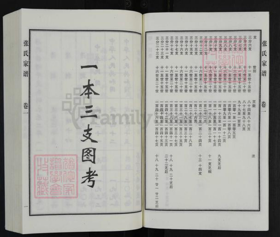 河北省沧州黄骅市常郭镇张氏族谱-张氏家谱.pdf电子版插图3 河北省沧州黄骅市常郭镇张氏族谱-张氏家谱.pdf电子版插图3