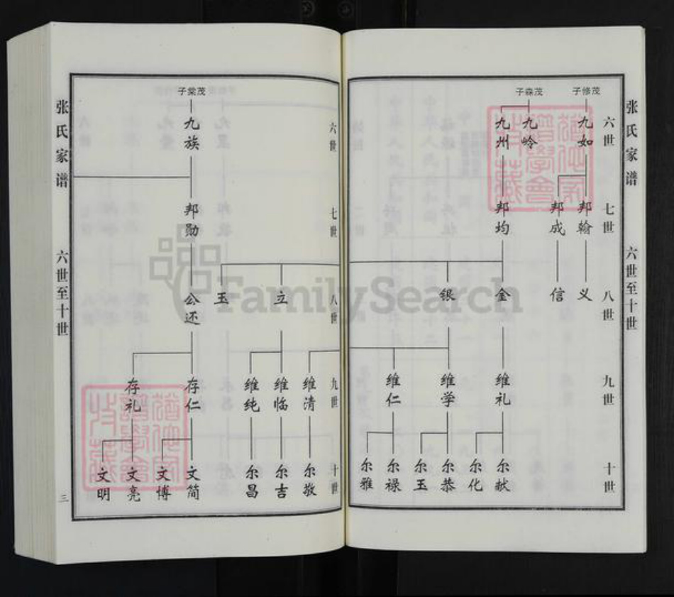 河北省沧州黄骅市常郭镇张氏族谱-张氏家谱.pdf电子版插图5 河北省沧州黄骅市常郭镇张氏族谱-张氏家谱.pdf电子版插图5