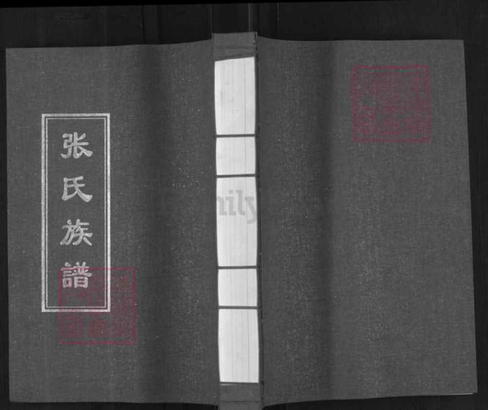 山东省青岛市即墨区蓝村镇张氏族谱-张氏族谱.pdf电子版