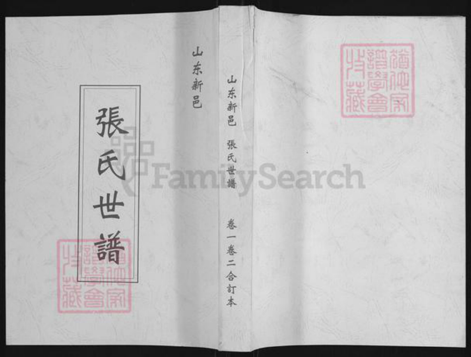 山东省淄博市张店区张氏族谱-张氏世谱.pdf电子版