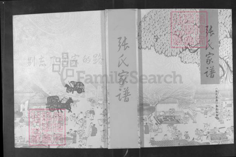山东省滨州市滨城区张氏族谱-张氏家谱.pdf电子版