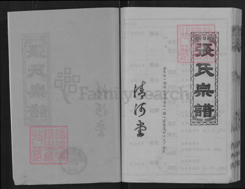湖北省武汉市蔡甸区侏儒山街道张氏清河堂族谱-张氏宗谱.pdf电子版插图2