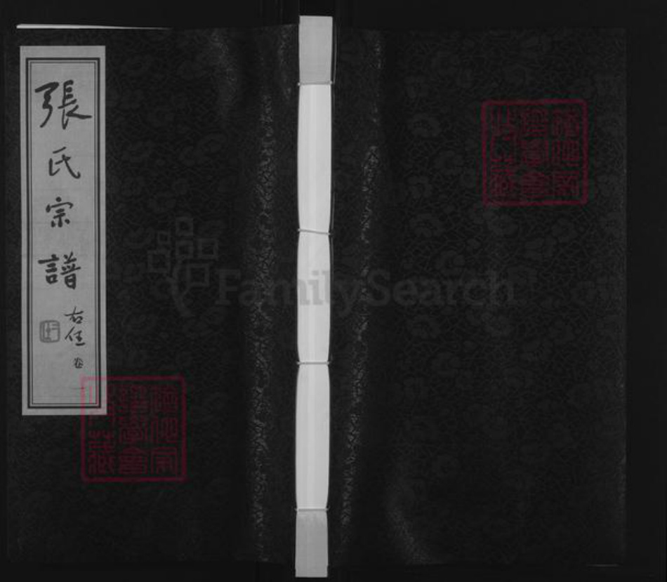 江苏省常州市金坛区朱林镇张氏仁德堂族谱-张氏宗谱.pdf电子版