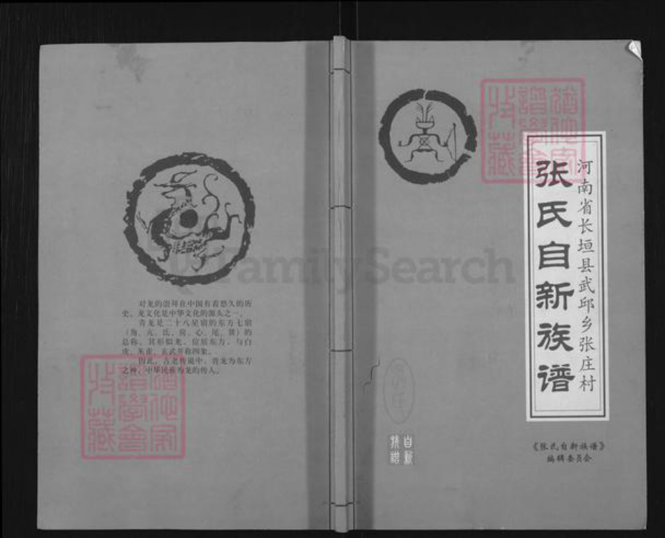 河南省新乡市长垣县武邱乡张氏族谱-张氏自新族谱.pdf电子版