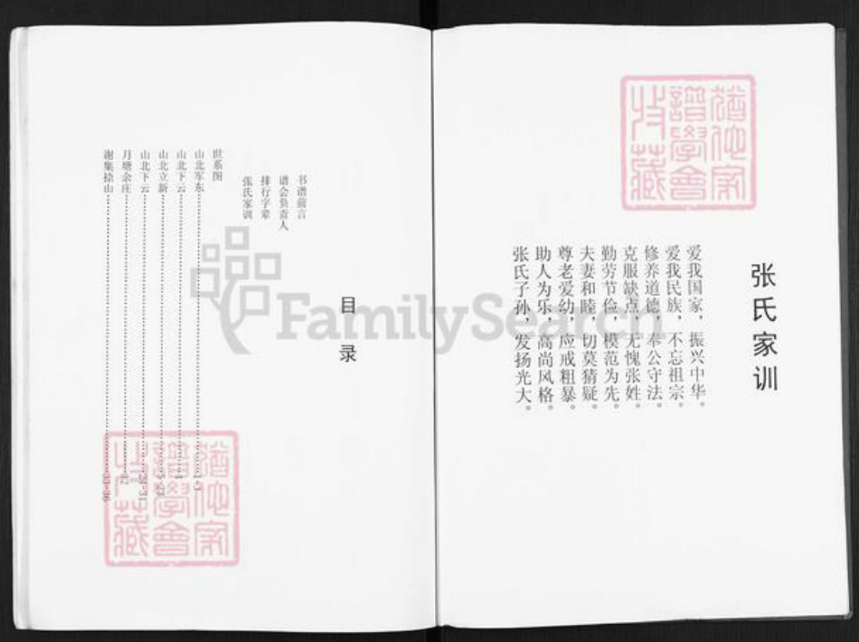 江苏省扬州市仪征市月塘镇张氏百忍堂族谱-张氏宗谱.pdf电子版插图3