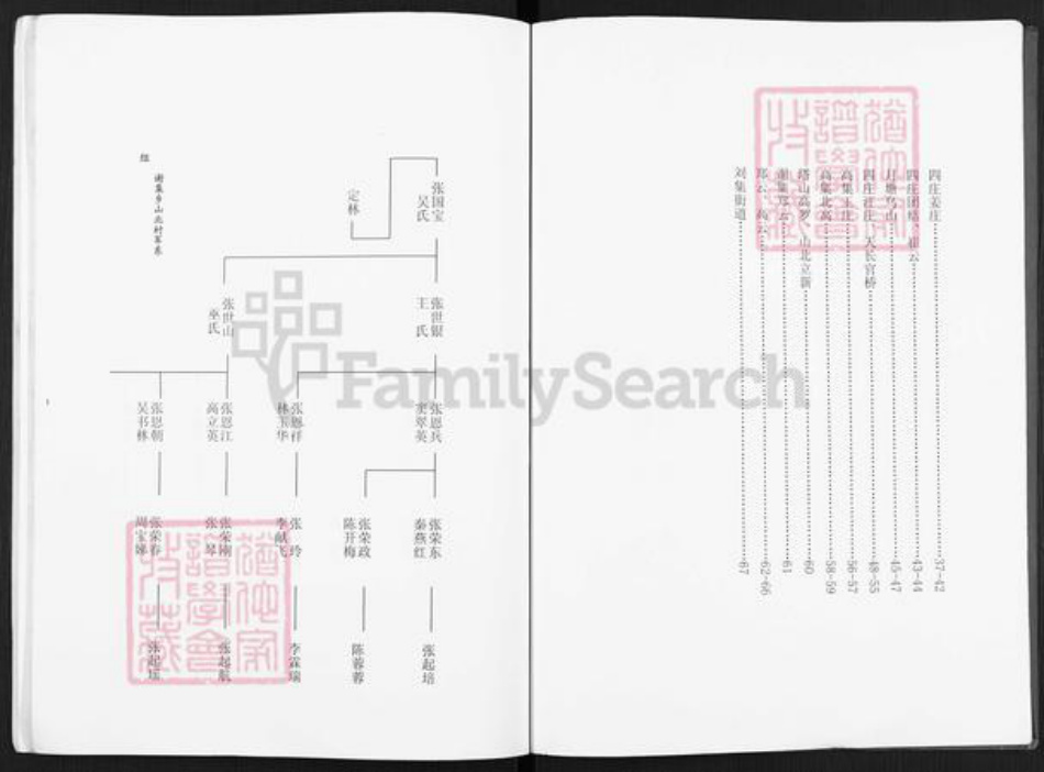 江苏省扬州市仪征市月塘镇张氏百忍堂族谱-张氏宗谱.pdf电子版插图4