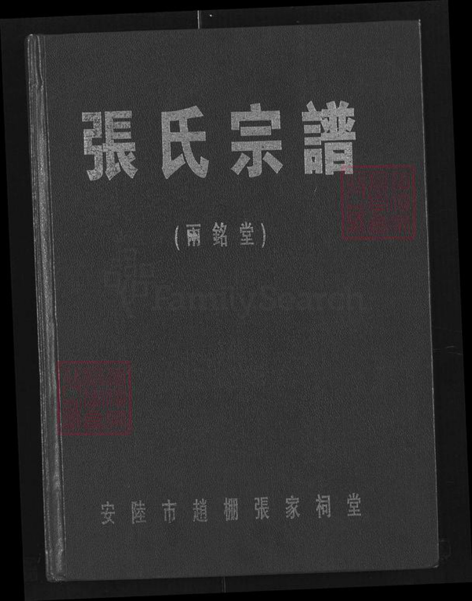 湖北省孝感市安陆市赵棚镇张氏两铭堂族谱-张氏宗谱.pdf电子版
