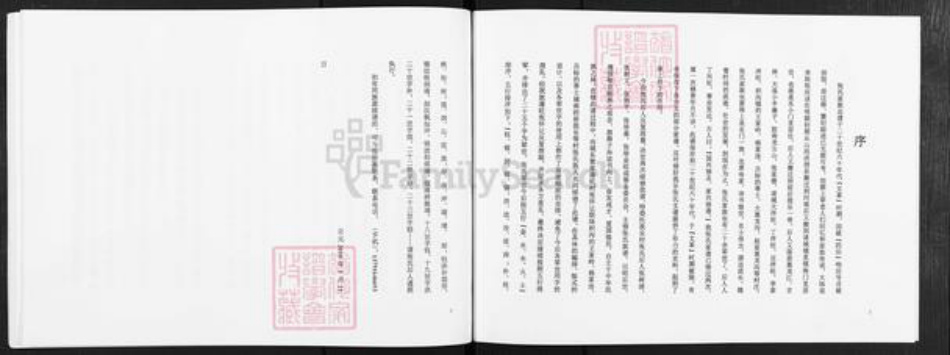 山东省潍坊市诸城市张氏族谱-诸城张氏家谱.城南前、后我乐村支谱.pdf电子版插图2