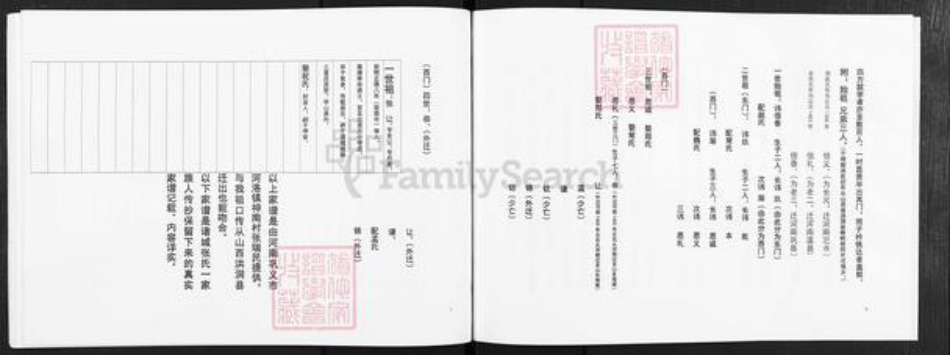 山东省潍坊市诸城市张氏族谱-诸城张氏家谱.城南前、后我乐村支谱.pdf电子版插图4