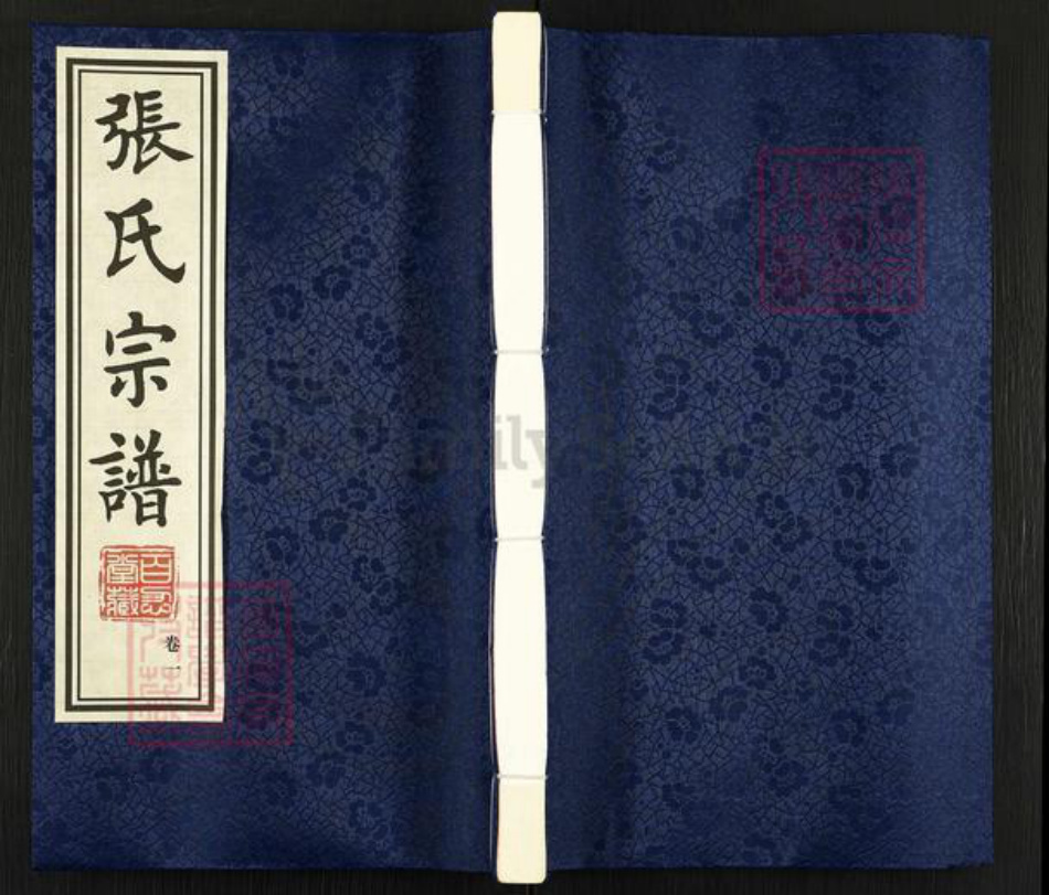 江苏省常州市武进县牛塘镇张氏百忍堂族谱-南望张氏宗谱.pdf电子版插图 江苏省常州市武进县牛塘镇张氏百忍堂族谱-南望张氏宗谱.pdf电子版插图